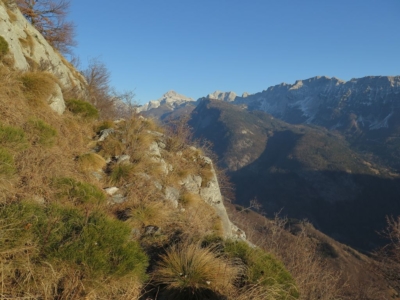 Bavški Grintavec Bavški Grintavec
