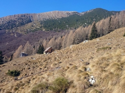 Planina cestou na Bavški Grintavec Planina cestou na Bavški Grintavec