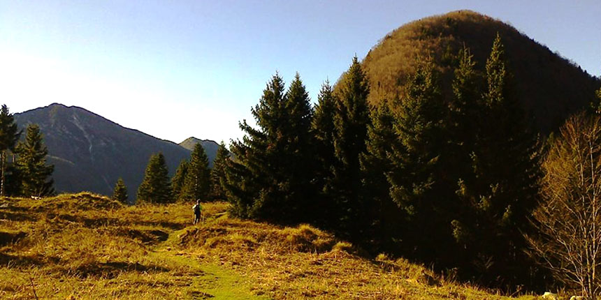 Planina Golobar